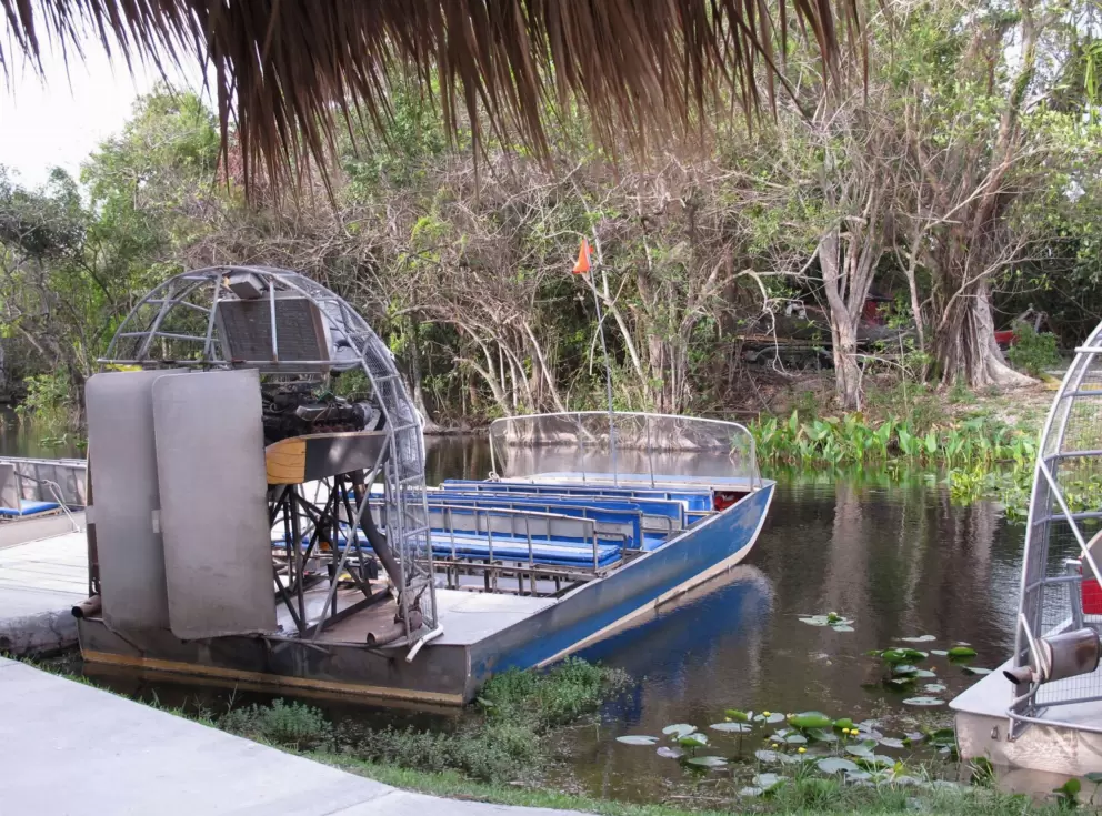 The airboat and the gorgeous scenery.