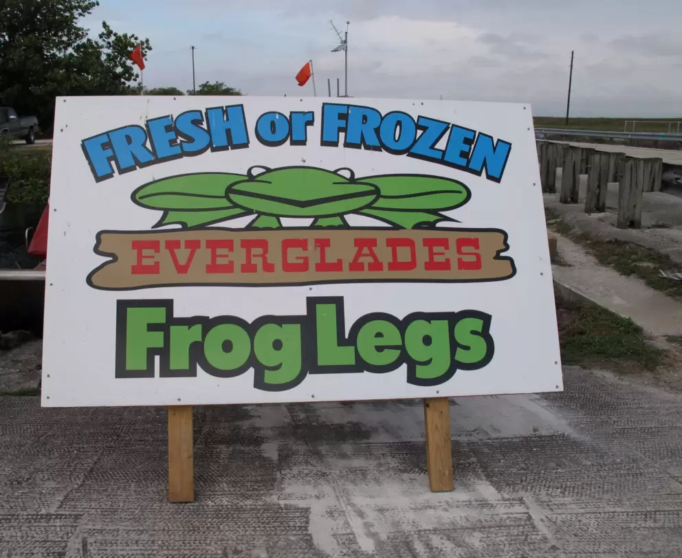 The sign on the road.