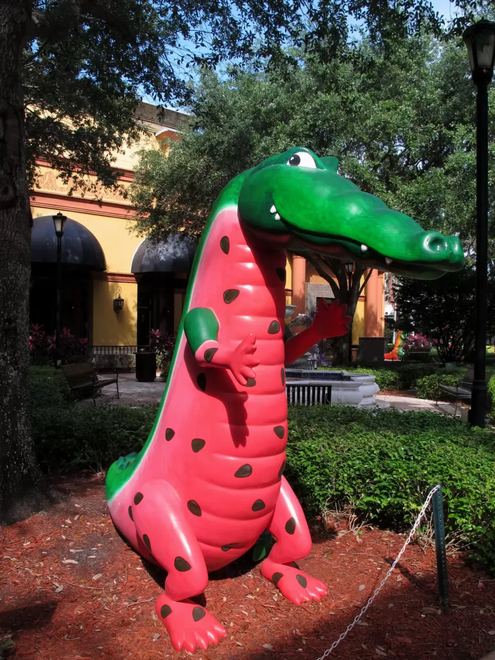 Watermelon alligator.
