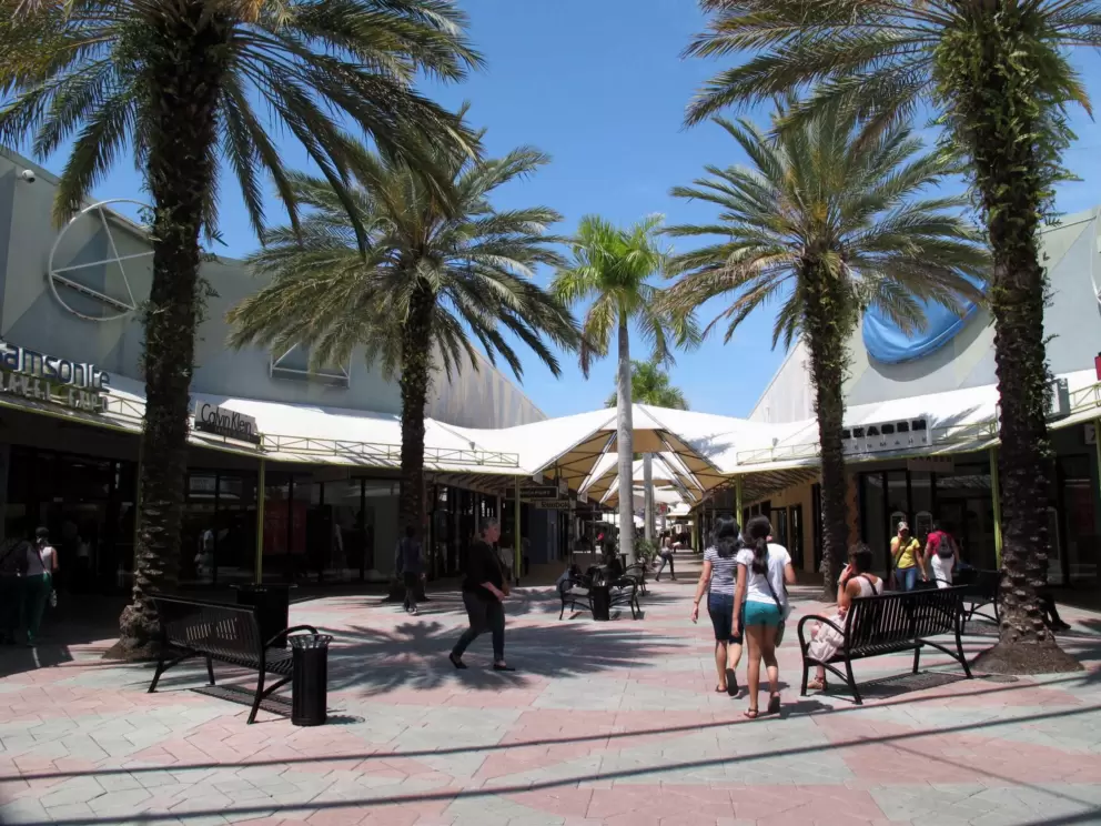 Outdoor area with palms.