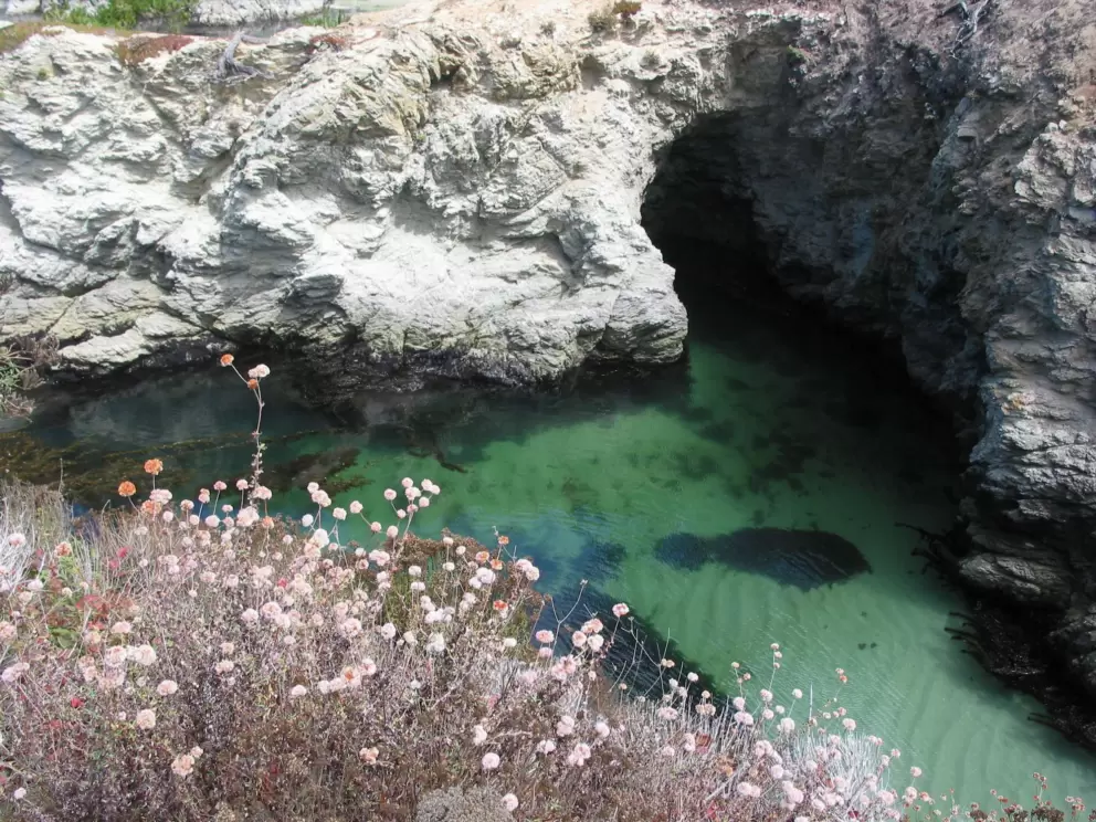 Lovely little sea cave around the corner from China Cove.