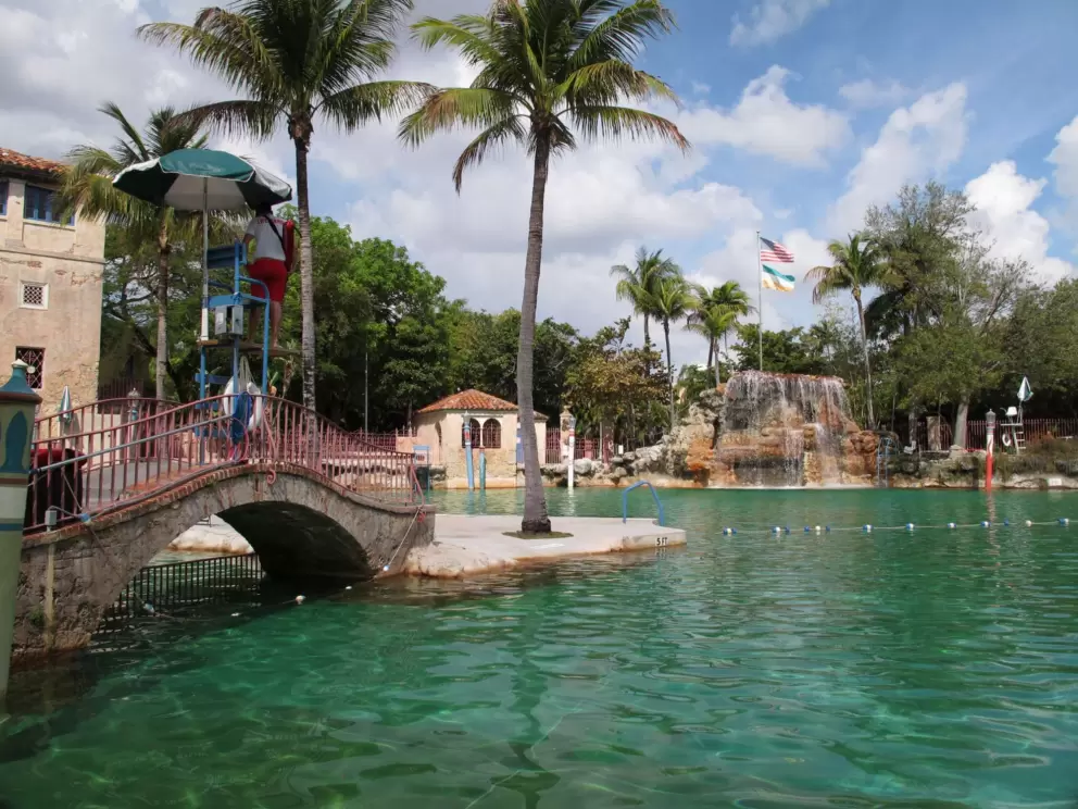 Bridge and palms over pool.