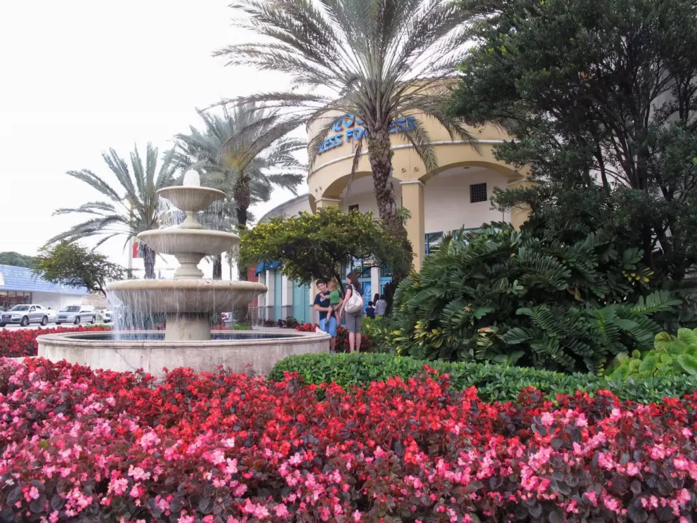 Flowers along the street.