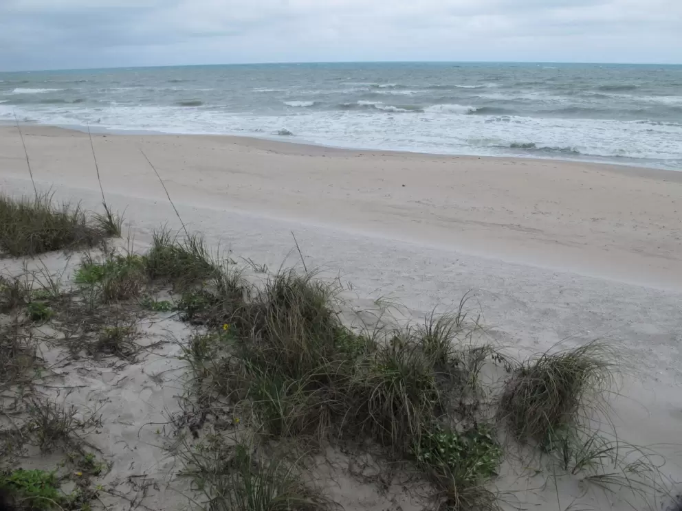 The sweeping coastline.