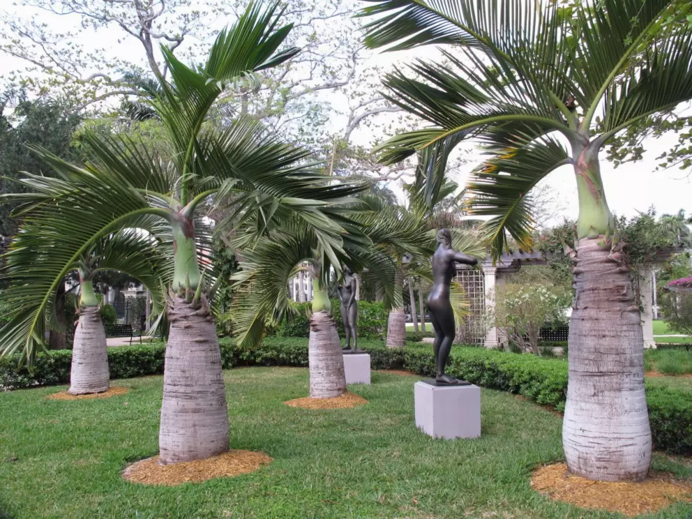 Society of the Four Arts Gardens, Palm Beach