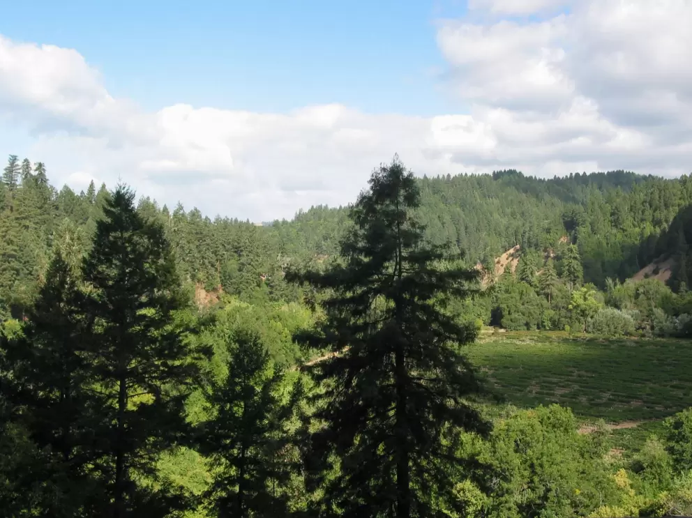 Sunny September day in Russian River.