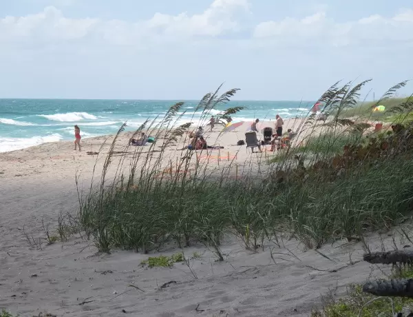 Windy day at the beach.