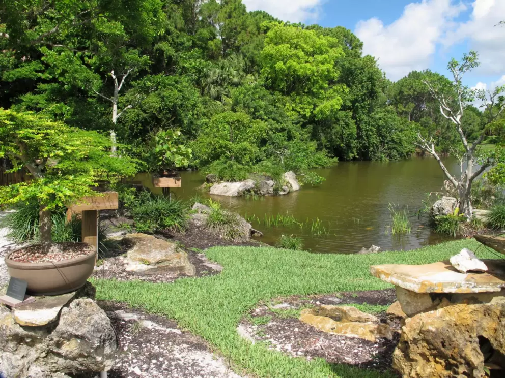 Turtle island, where you can feed koi and enjoy the bonsai garden.