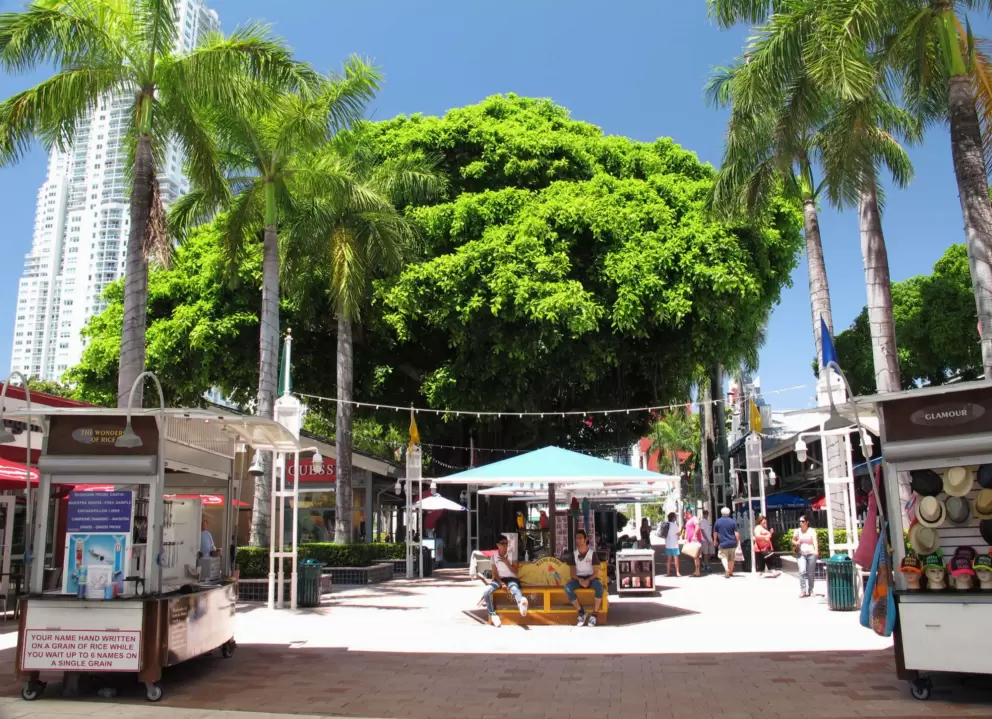 The incredible banyan tree that sits in the middle of it all!