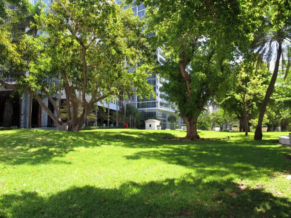 The green grass of Mary Brickell Park.