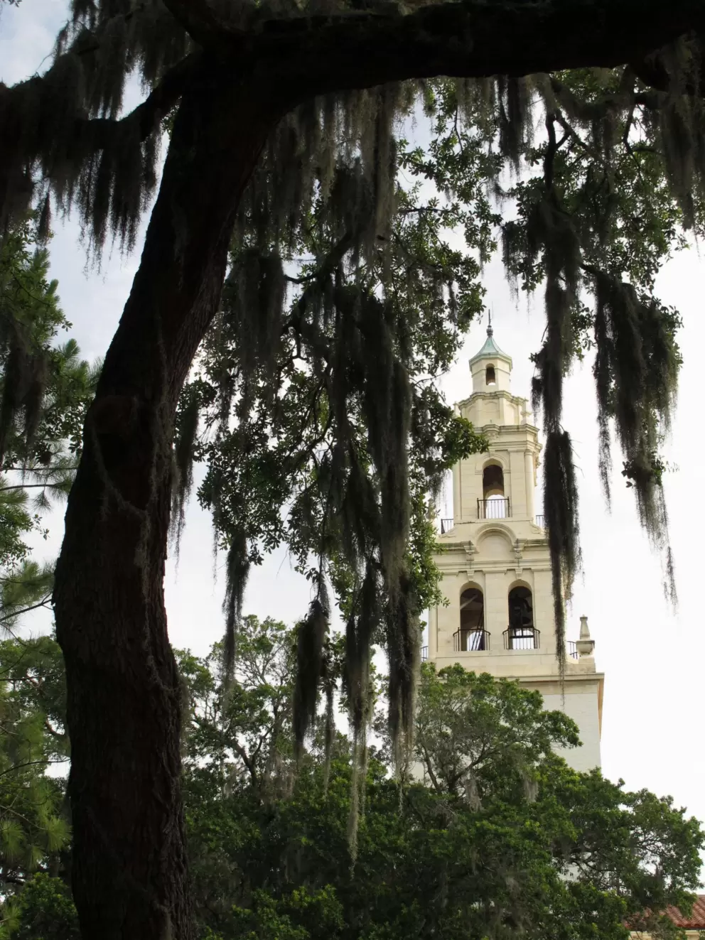 Tower and Spanish moss.