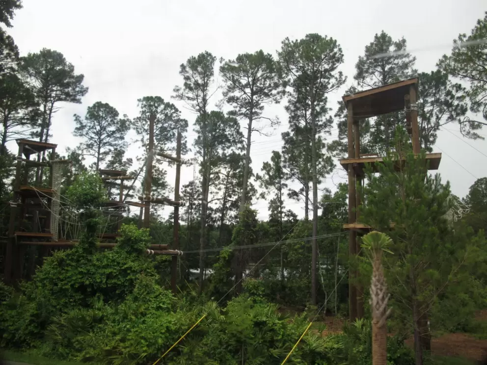 Ropes course.