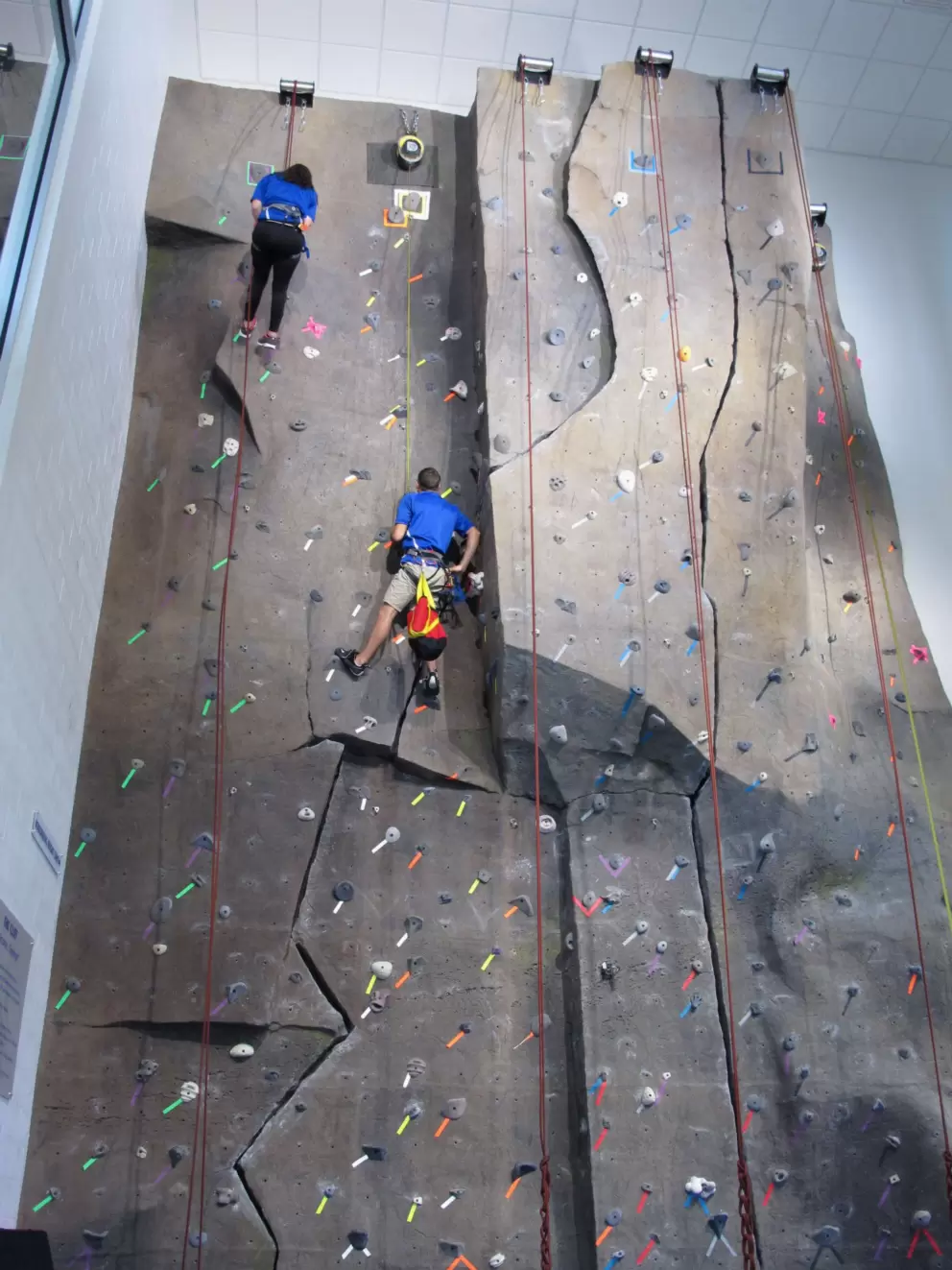 Rock-climbing wall in the Student Wellness recreation center.