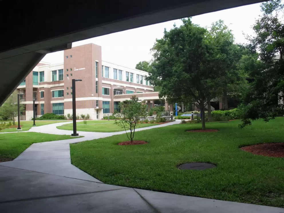 There is plenty of shade around the Social Sciences building.