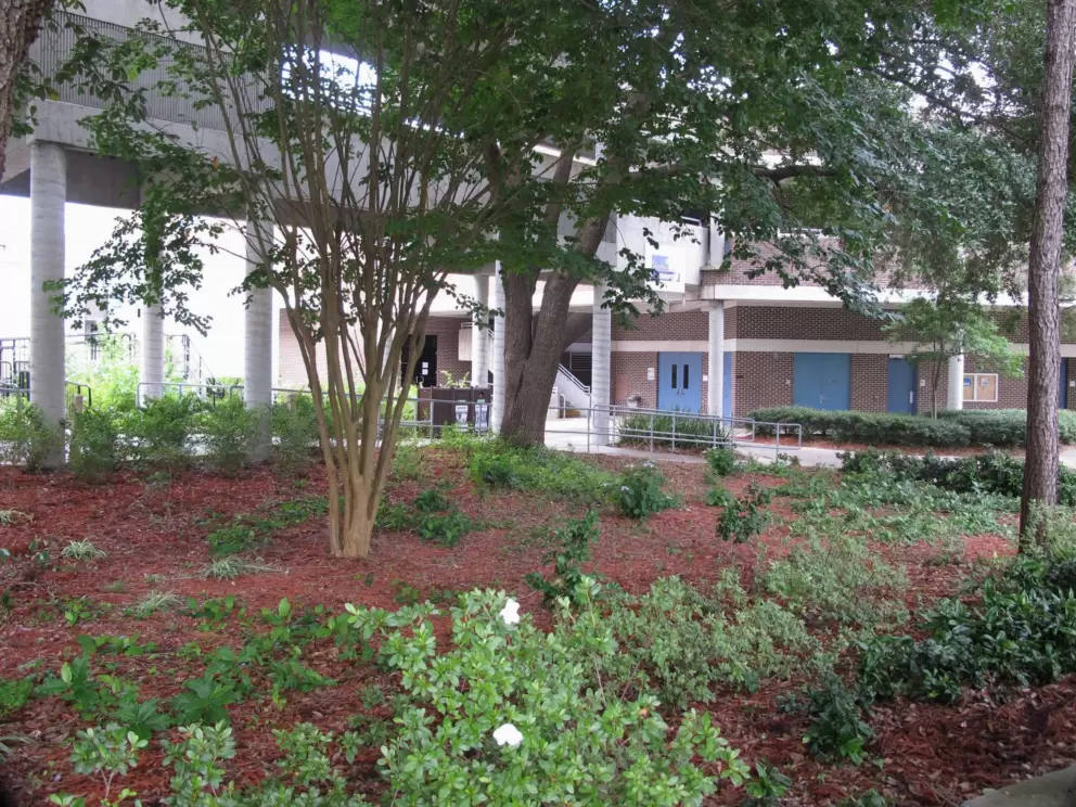 Brick building and plenty of plants.