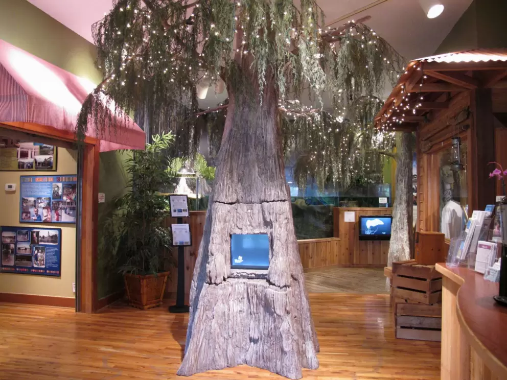 Tree that welcomes you to the River Center.