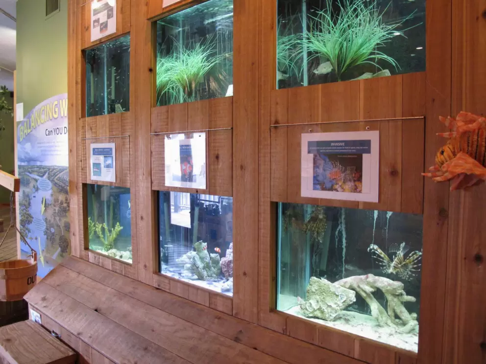 Wonderful tanks in attractive wood panels.