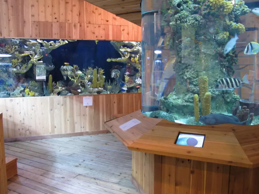 Tropical tanks.