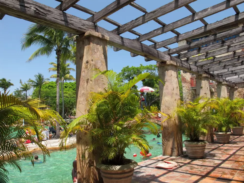 Potted palms beside the pool.