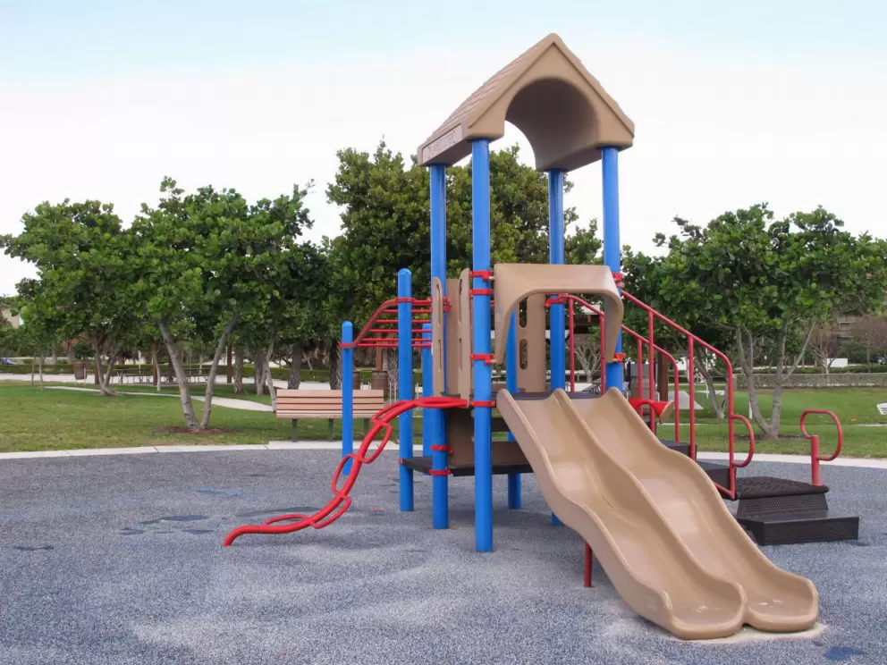 The play structure.