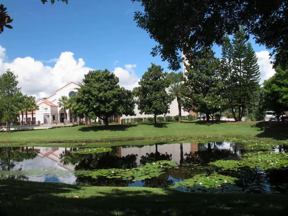 Water lilies in front of the basilica.