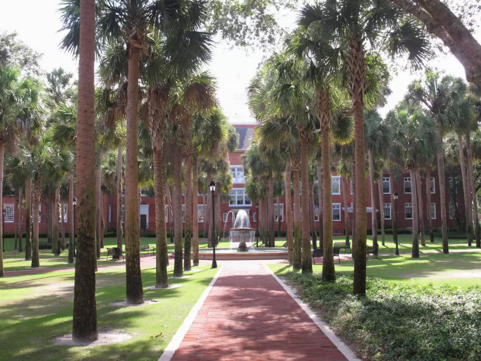 Row of palms and fountain.