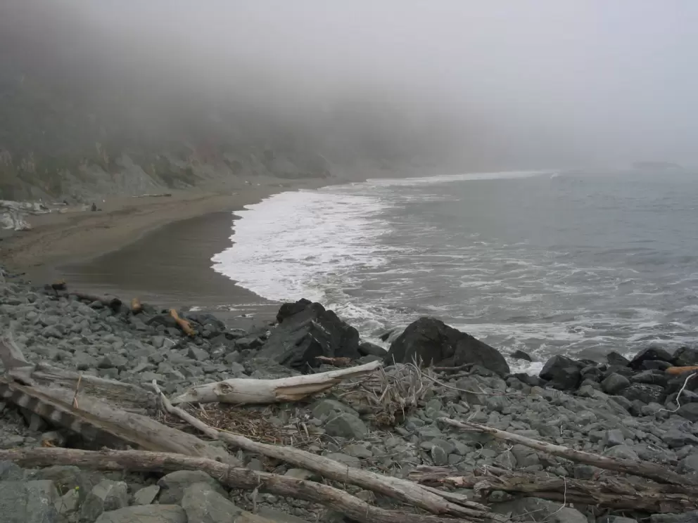 Driftwood and large rocks at the beach to the left of Whale Point on a foggy, mysterious day.