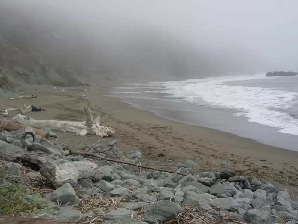 Picnickers bring their dogs here to munch on driftwood, dig, and delight in the beach to the left of Whale Point.