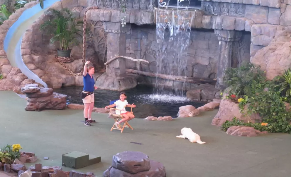 Audience participation in Animal Actors on Location show.