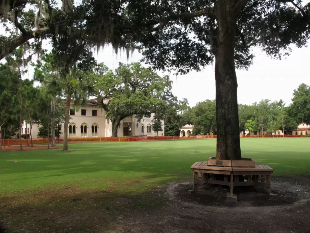 Tree bench and large grassy area where students can sunbathe.