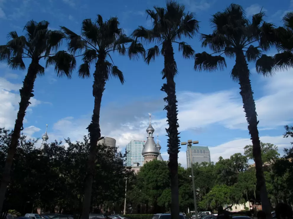 Palm trees and minarets.