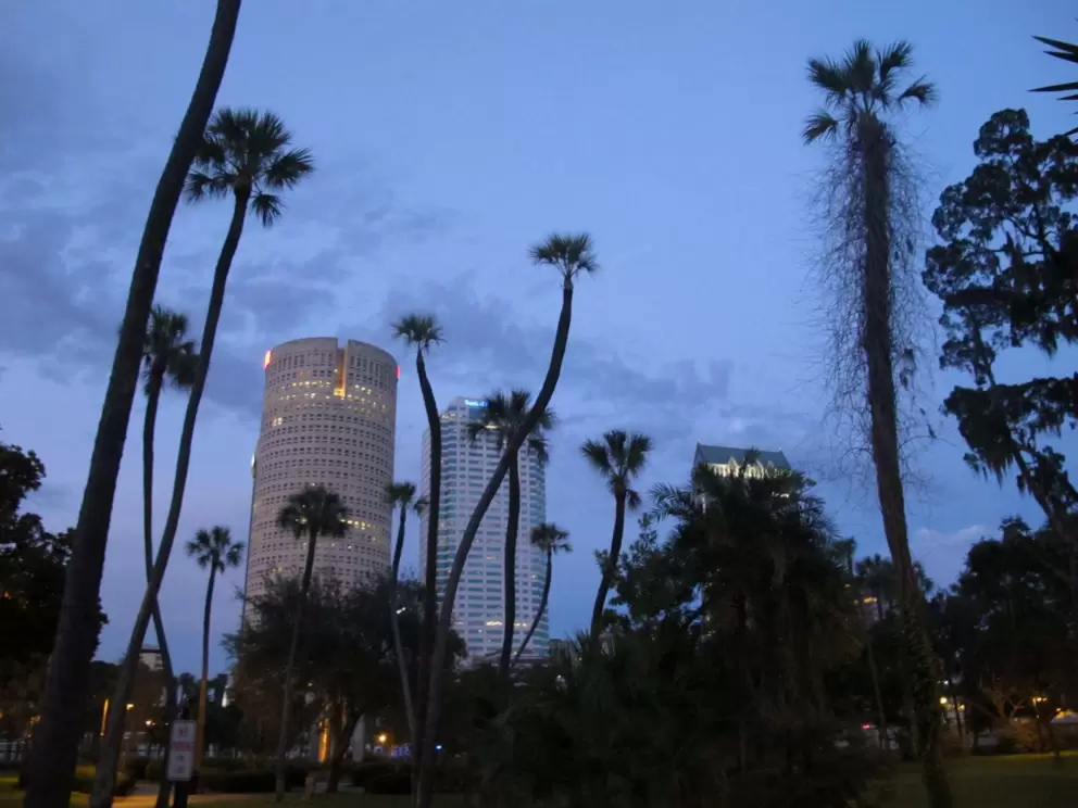 Plant Park with its cute tropical plants and city views.