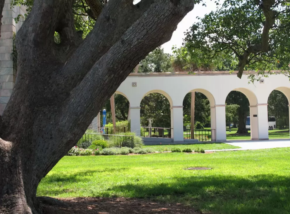 Tree and arches.