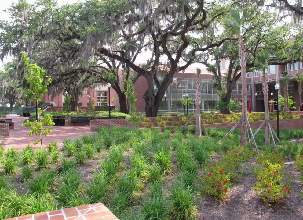 Cute landscaping on campus.