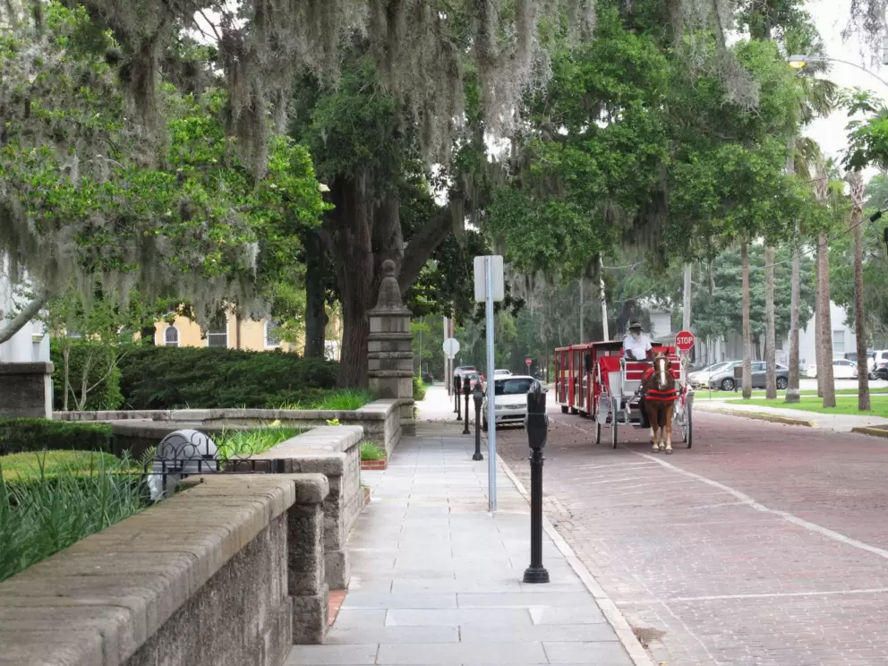 Carriage ride for tourists.