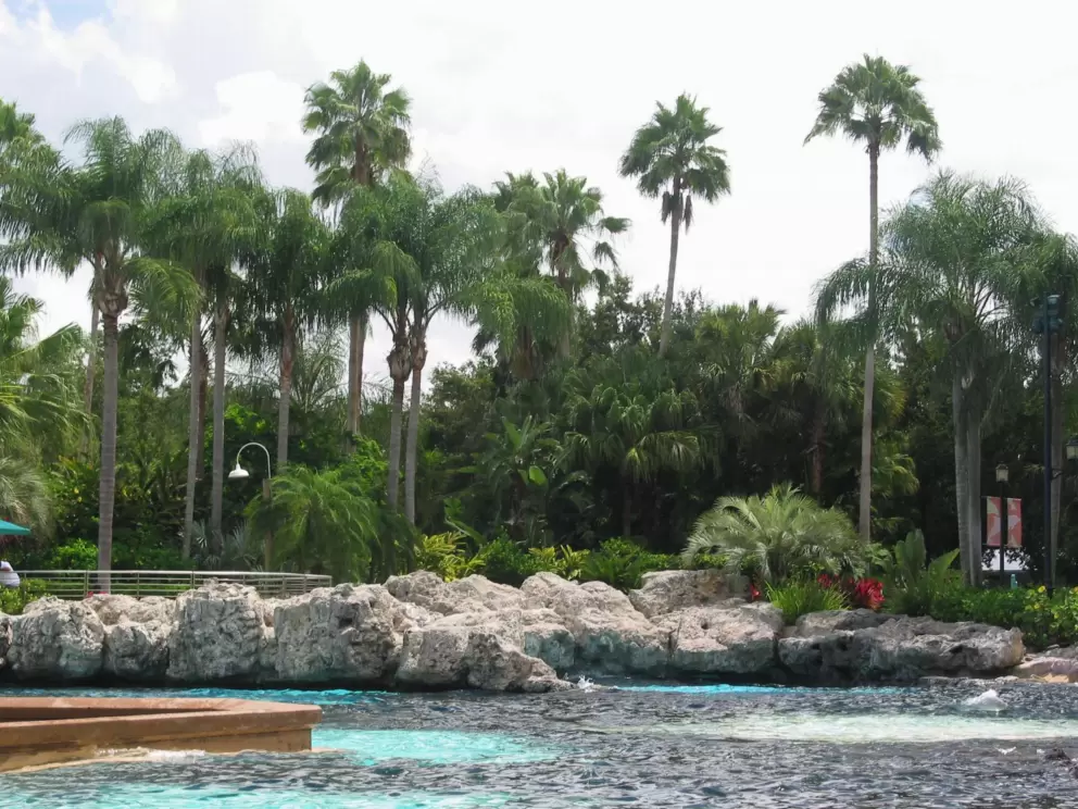 Tropical lagoon at Dolphin Cove- reminded me of the Big Island of Hawaii!