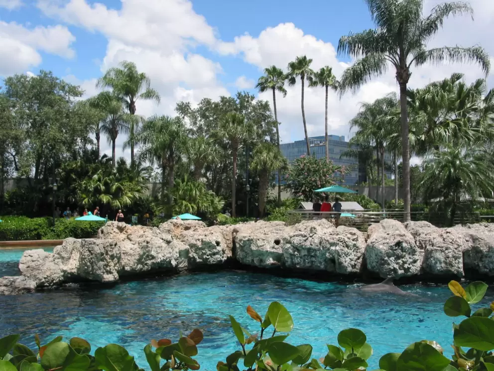 The mesmerizing colors of Dolphin Cove- are you sure I'm not in Hawaii?