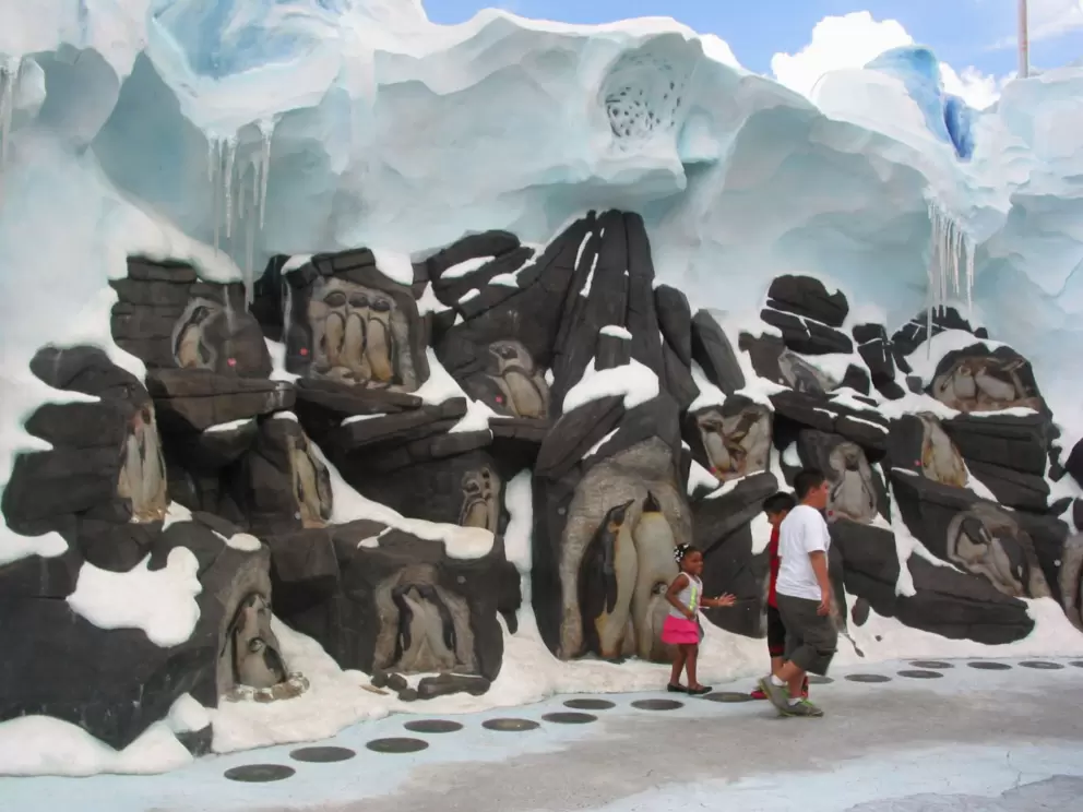 Antartica wall.