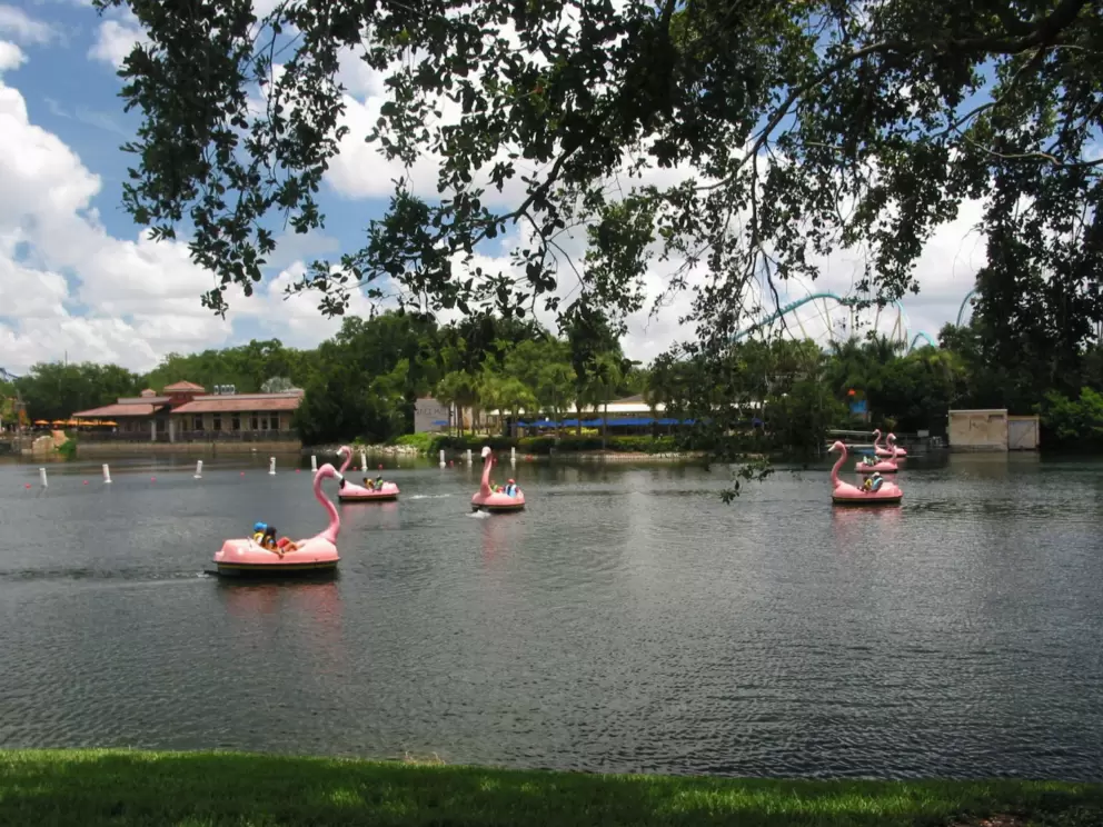 Flamingo paddle-boats.