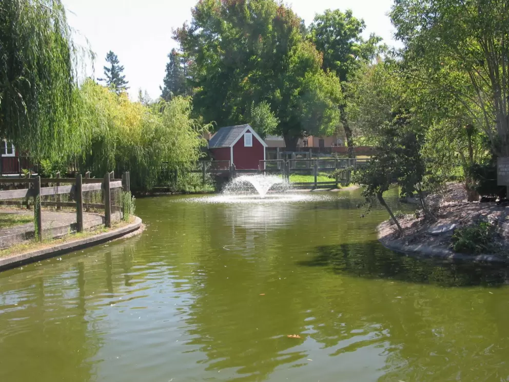 The lake with ducks and fountain at Willard Libby Park.