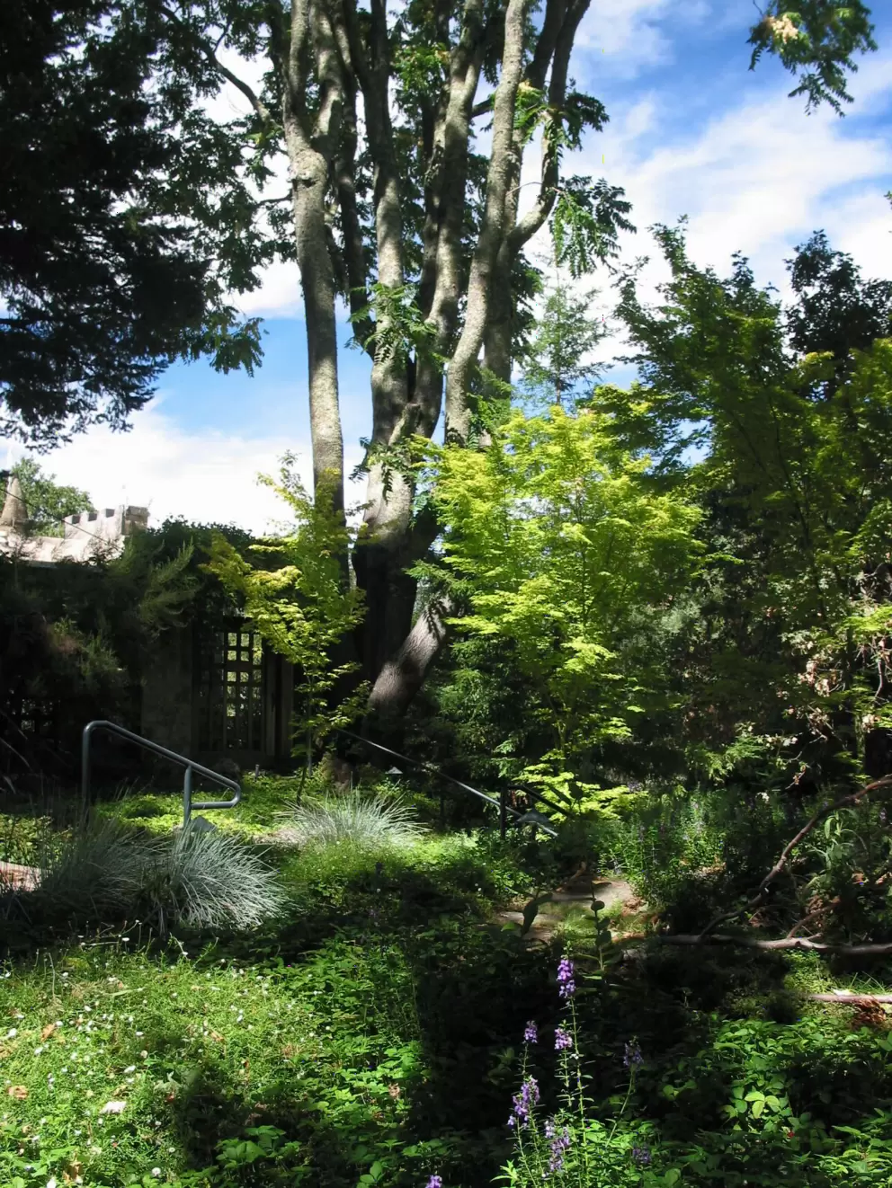 The gardens near the entrance to Montelena Chateau.