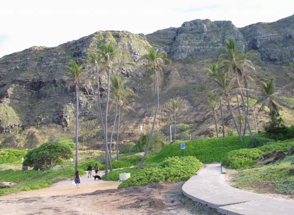 The walkway, coconut trees, and mountains.