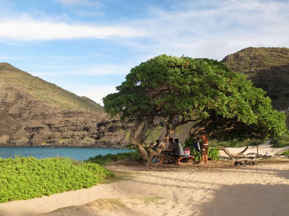 Men gathering at a picnic table over the beach.