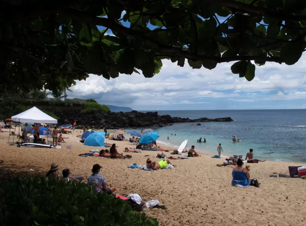 Trees provide shade higher up on the beach.