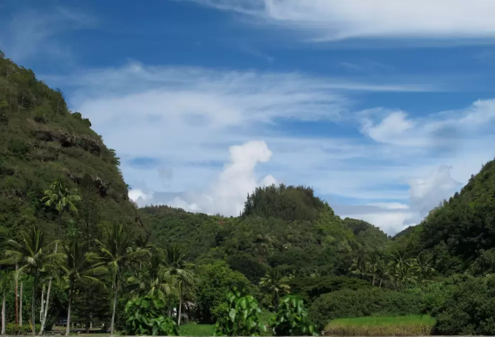 View of Waimea Valley from the road.