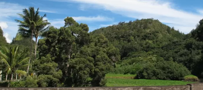 Waimea Valley is across the road from the beach.