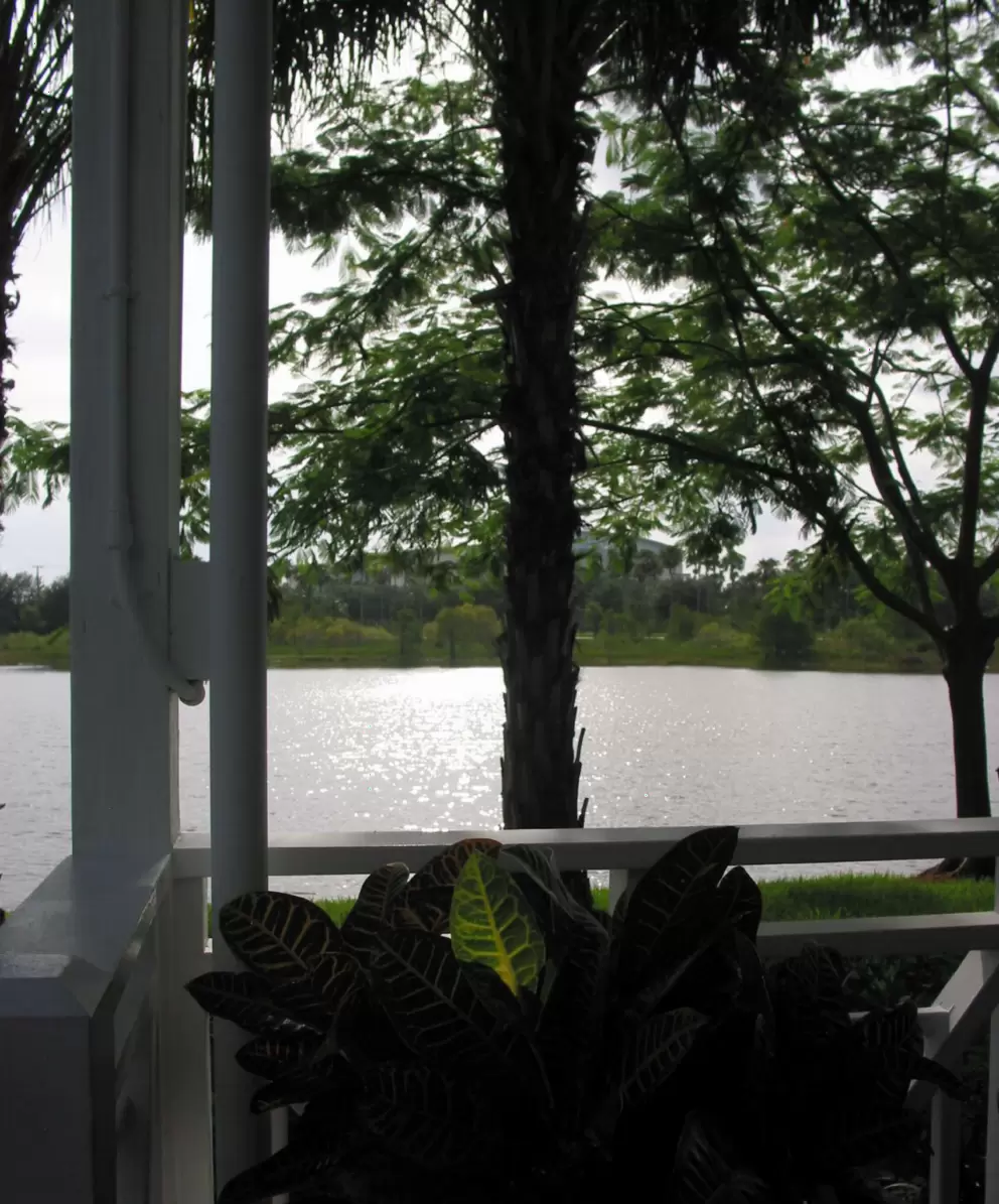 The tranquil view.