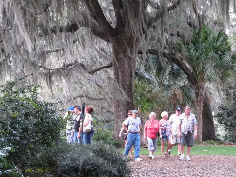 Visitors enjoy a walk under the exquisite oak trees.