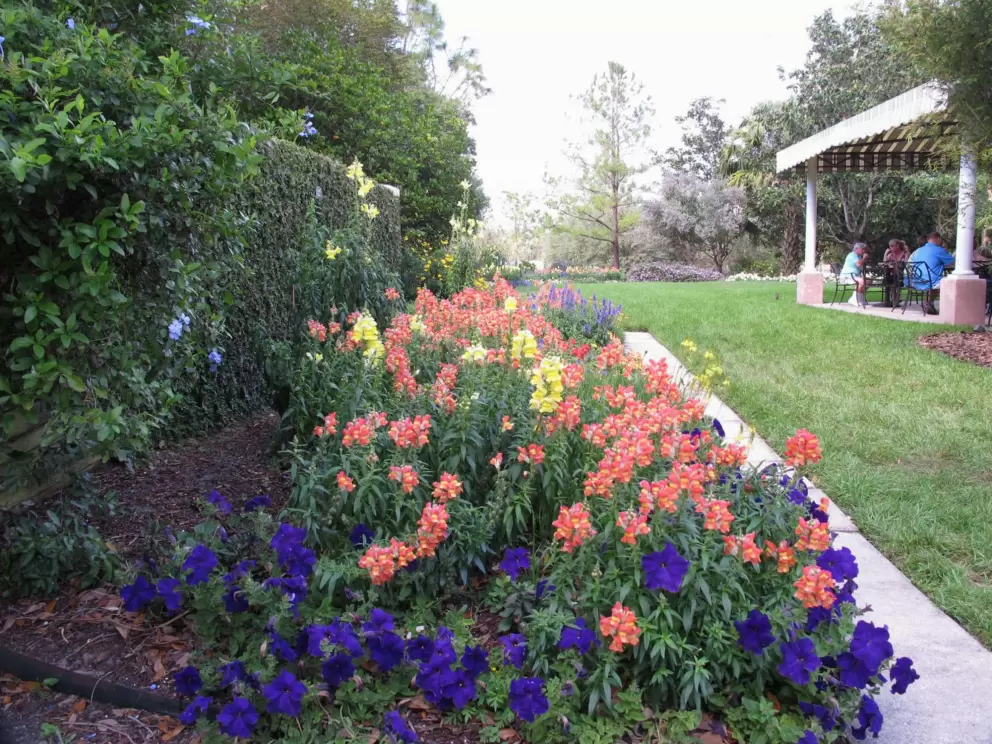 Flowerbed near the cafe.