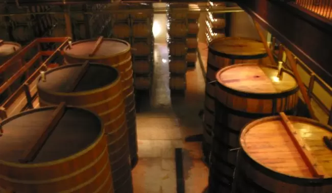 The HUGE wine barrels, with mist-maker keeping them cool and moist. Very fun for kids to see!